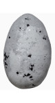 Renew Pebble Bath Fizzy (Tea Tree & Grapefruit) - 1 Unit