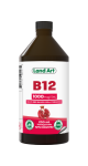 Vitamin B-12 (Pomegranate) - 250ml