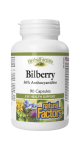 Bilberry Standardized Extract 40mg - 90 Caps