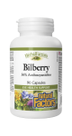Bilberry Standardized Extract 40mg - 90 Caps