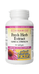 Echinamide Fresh Herb Extract Clinical Strength - 90 Softgels