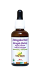 Astragalus Root (Certified Organic) - 50ml