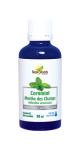 Cornmint Essential Oil (100% Pure) - 30ml