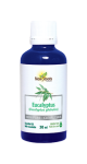 Eucalyptus Essential Oil (100% Pure) - 30ml