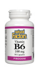 B-6 100mg - 90 Caps