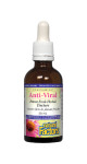 Echinamide Anti-Viral Potent Fresh Herbal Tincture - 50ml