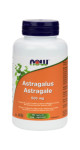 Astragalus Root 500mg - 100 Caps