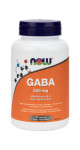 GABA 500mg (Plus B-6) - 100 Caps