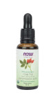 Rosehip Oil (Organic) - 30ml