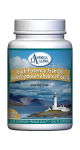 High Potency Fish Oil - 90 Softgels