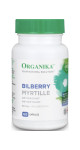 Bilberry Extract 60mg - 60 Caps - Organika
