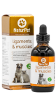 Ligaments & Muscles - 100ml