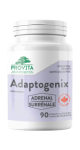 Adaptogenix - 90 V-Caps