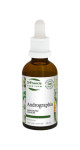 Andrographis - 50ml