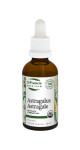 Astragalus Liquid - 50ml