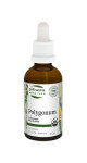Polygonum - 50ml