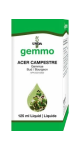 Gemmo Acer Campestre - 125ml