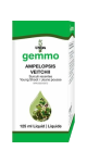 Gemmo Ampelopsis Veitchii - 125ml