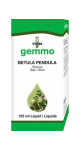 Gemmo Betula Pendula (Sap) - 125ml