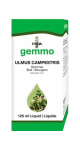 Gemmo Ulmus Campestris - 125ml
