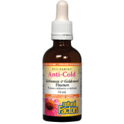 Echinamide Anti-Cold Echinacea & Goldenseal Tincture - 50ml