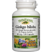 Ginkgo Biloba 60mg - 120 Caps