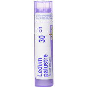 Ledum Palustre 30C - 80 Pellets
