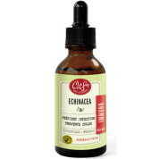 Immuno Echinacea Tincture (Organic) - 50ml