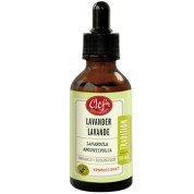 Tradition Lavender Tincture (Organic) - 50ml