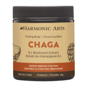 Chaga Concentrated Mushroom Powder - 45g