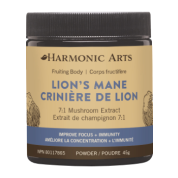 Lion's Mane Concentrated Mushroom Powder - 45g