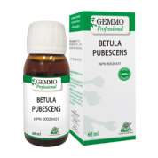 Betula Pubescens (Gemmo) - 60ml