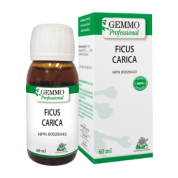 Ficus Carica (Gemmo) - 60ml