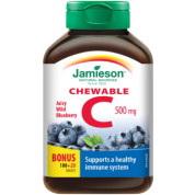 Vitamin C Chewable 500mg (Wild Blueberry) - 120 Tabs