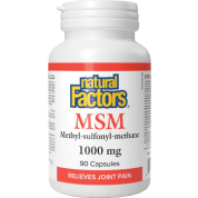 MSM 1,000mg - 90 Caps