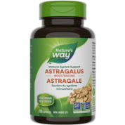 Astragalus Root 470mg - 100 Caps