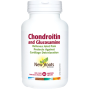 Chondroitin And Glucosamine - 60 V-Caps