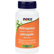 Astragalus Extract 4:1 500mg (2,000mg Equivalent) - 90 V-Caps