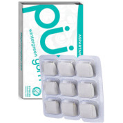 Wintergreen Gum - 9 Pieces