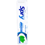 Xylitol Peppermint Toothpaste - 141g