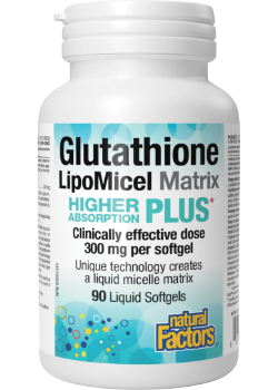 glutathione msm MSM effects on glutathione cycle and neuroprotection main image 0