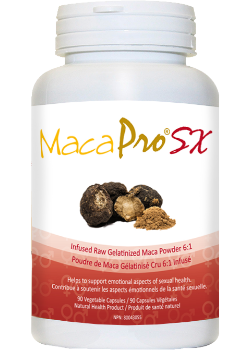 Buy UHTCO Corporation MacaPro SX Infused Raw Gelatinized Maca