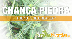 Chanca Piedra