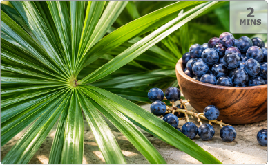 Saw palmetto berries for a prostate and urinary health supplement article