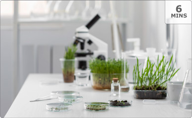 NMN supplements for NAD support, cellular energy, and healthy aging