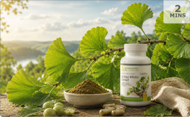 Article about The Importance of Ginkgo Supplements