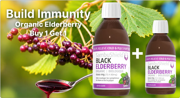 Build Immunity  View Naturopathic Labs Sambu Shield Black Elderberry Syrup Buy 1 Get 1 500ml Plus 200ml