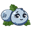 AVATAR_BLUEBERRY.png